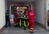 Un urs a atacat un vânător și un paznic care încercau să îl ucidă, după ce l-au împușcat