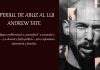 Imperiul de abuz al lui Andrew Tate. Cum figura emblematică a „manosferei” și-a clădit o avere și a devenit o forță politică prin exploatarea femeilor