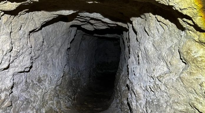 Creatura bizară care i-a „întâmpinat” pe oamenii de știință într-un tunel de 25 de metri din Grecia. A fost „botezată” după demonul Balrog
