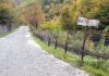 Minerii de la Vast Băiţa Plai reclamă o situaţie „de o gravitate extremă”: După luni de salarii neplătite, angajatorul a ales concedierea colectivă în locul dialogului social şi al negocierii Contractului Colectiv de Muncă/ Ce solicită sindicaliştii