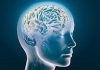 Boala Alzheimer, reacţie la o infecţie a ţesutului cerebral !