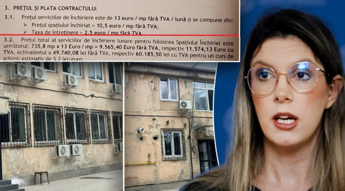În plină austeritate, ministerul Mediului sparge 12.000 euro/lună pe chirie pentru o clădire invadată de rozătoare: „Angajații nici nu deschid geamurile, de teamă să nu intre vreun șobolan peste ei”