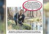Cațavencii.ro: Reforma e frate cu românul. Romsilva își vede de împăduriri și defrișat bugetul