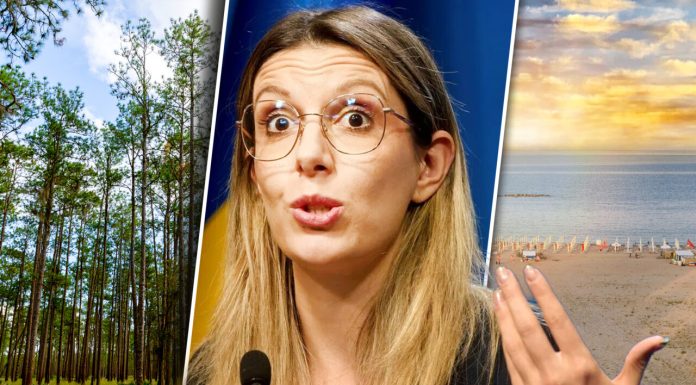 Proiect pilot. Diana Buzoianu începe „împădurirea plajelor” Mamaia-Năvodari. Ce copaci vor fi plantați