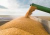 Avertisment de la Bruxelles: „UE are nevoie de soluții pe termen lung pentru îngrășăminte, pentru a evita o criză alimentară”