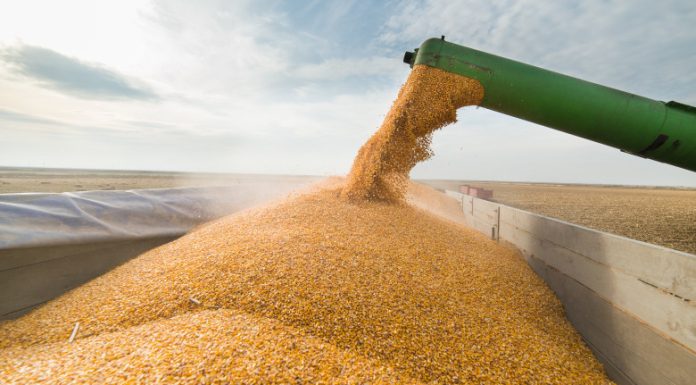 Avertisment de la Bruxelles: „UE are nevoie de soluții pe termen lung pentru îngrășăminte, pentru a evita o criză alimentară”