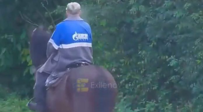 Crimeea ajunge să utilizeze cai din cauza lipsei de combustibil