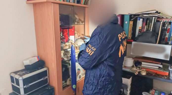 Odioasa poveste a unui canibal angajat la un spital din Budapesta / Împătimit colecționar (și consumator!) de părți anatomice umane