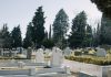 Ieșeanul care are un teren în formă de ”chitică” negociază pentru noul cimitir al Vasluiului. Oferta controversată revine în licitație