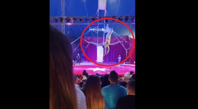 Moment dramatic la un spectacol de circ din Slatina. „Roata Morții” s-a terminat prost pentru un acrobat