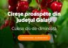 Supermarketul online Sezamo: Numărul clienților care cumpără cireșe a crescut cu 66%