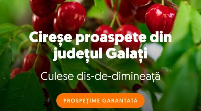 Supermarketul online Sezamo: Numărul clienților care cumpără cireșe a crescut cu 66%