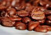 Noile reguli europene privind veniturile fermierilor nu sunt respectate de marile companii din industria cafelei