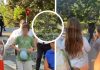 O familie a fost la un pas de tragedie. Un copac uriaș s-a prăbușit din senin pe aleile parcului unui ansamblu de lux din București
