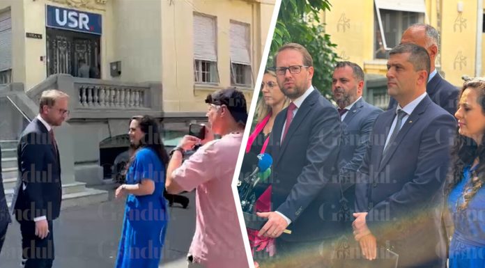 Dominic Fritz se declară inflexibil după întâlnirea cu Eugen Toman: „Greu vedem o susținere USR pentru guvernul lui”