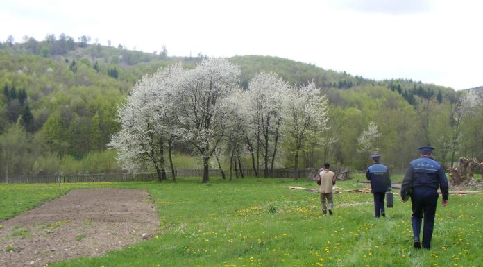 Un prunc de doar doi ani din Gorj s-a înecat în Râul Amaradia, din spatele casei