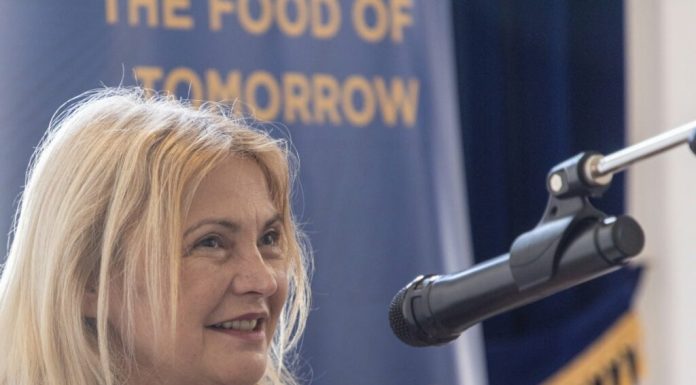Procurorii EPPO anchetează o posibilă fraudă cu bani europeni la prefectul USR de Timiș