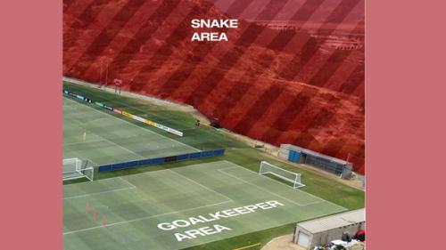 Cupa Mondială 2026: Echipa națională a Elveției se antrenează în apropierea unei „zone cu șerpi”