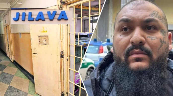 De ce nu are voie Dani Mocanu să muncească în pușcărie. Manelistul cere degeaba să primească de lucru