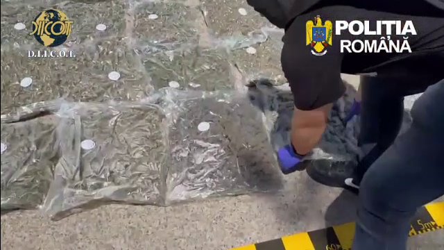 Peste 30 de kilograme de canabis și cocaină, descoperite în Teleorman.. Drogurile erau aduse din state europene