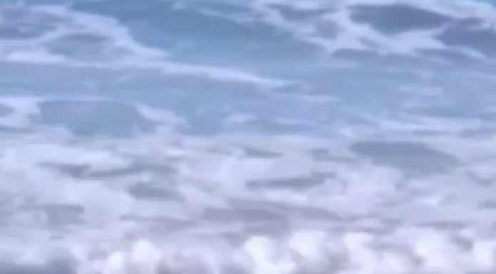 O dronă de luptă cu explozibili a ajunsă pe o plajă de la Marea Neagră