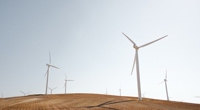 Amplasarea proiectelor de energie regenerabilă pe terenuri agricole va fi posibilă încă 2 ani