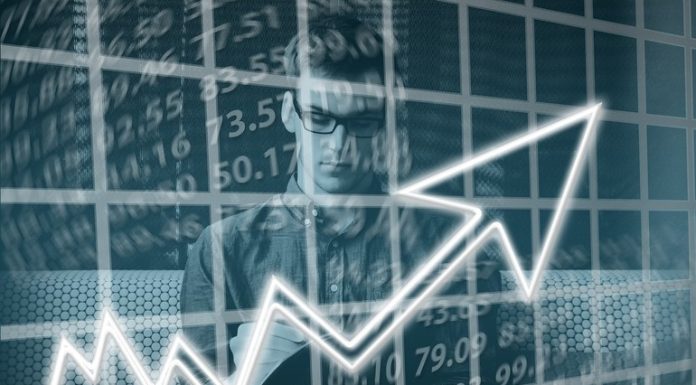 SII Romania în 2025 – afaceri în scădere, profit net în creștere