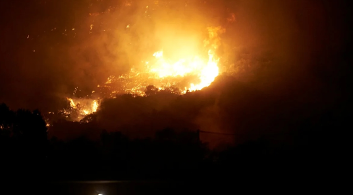 Grecia a mobilizat pompieri, avioane şi elicoptere pentru a combate un incendiu de vegetaţie pe insula Evia