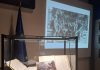 Expoziție inedită la MAE: documente diplomatice declasificate despre Mineriada din iunie 1990