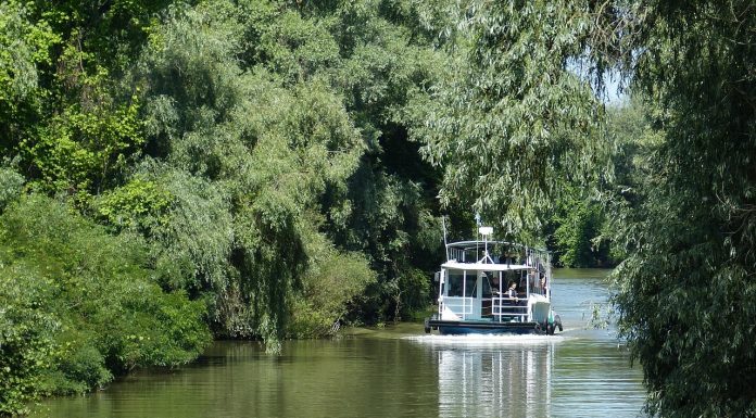 Limită de viteză pentru ambarcațiuni în Delta Dunării. Amenzile pentru depășirea vitezei