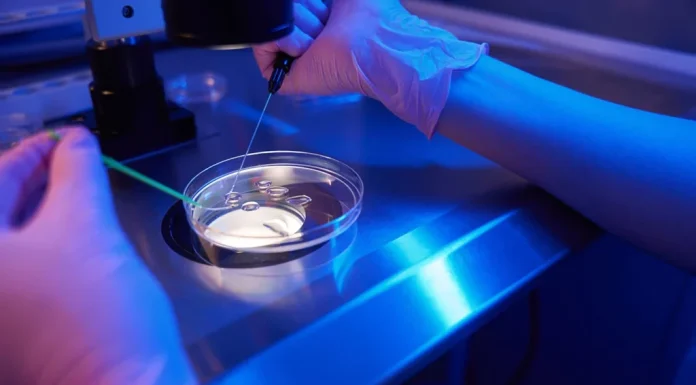 Descoperire în fertilizarea in vitro. Imagini de înaltă rezoluție cu embrioni umani oferă noi indicii despre eșecurile timpurii în FIV