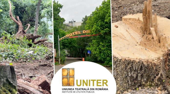 Cum a ajuns Uniunea Teatrală să folosească un teren de pe malul Lacului Floreasca, pe care, recent, a băgat drujbele: „Am făcut igienizare. Vrem să construim un cămin pentru artiști, dar nu avem fonduri”