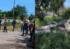 Garda de Coastă, prima reacție după tragedia din Limanu în care un copil de 9 ani a murit după ce a fost prins sub capacul unei canalizări
