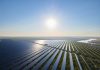 Investiție în România. Un dezvoltator olandez ridică unul dintre cele mai mari proiecte de energie solară din România, în Argeș