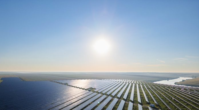 Investiție în România. Un dezvoltator olandez ridică unul dintre cele mai mari proiecte de energie solară din România, în Argeș