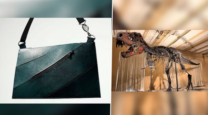 Oamenii de știință au confecționat prima geantă din piele de T-Rex. De la cât pornește prețul la licitație