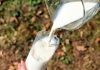 Ajutor de minimis de 2 lei/litru, timp de 3 ani, pregătit pentru fermele de lapte ecologic