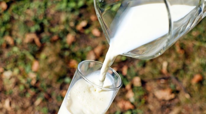Ajutor de minimis de 2 lei/litru, timp de 3 ani, pregătit pentru fermele de lapte ecologic