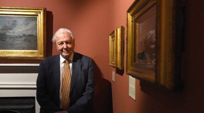 David Attenborough, sfat către grădinari pentru a ajuta aricii pe timpul verii