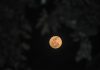 Roverul lunar japonez în formă de bilă scrie istorie prin explorarea autonomă a Lunii