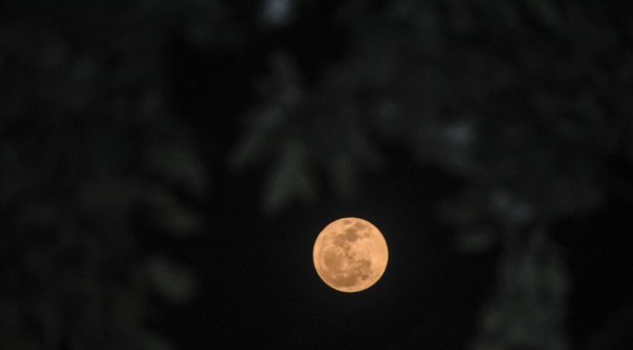 Roverul lunar japonez în formă de bilă scrie istorie prin explorarea autonomă a Lunii