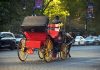 Un adolescent de 18 ani a murit după ce a fost aruncat dintr-o trăsură trasă de un cal în Central Park din New York. VIDEO