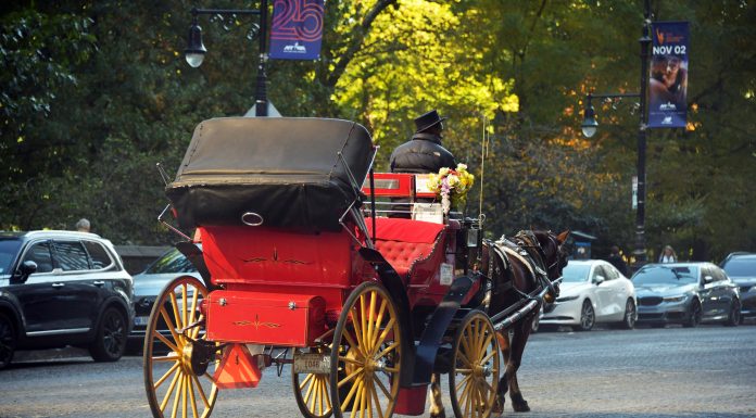 Un adolescent de 18 ani a murit după ce a fost aruncat dintr-o trăsură trasă de un cal în Central Park din New York. VIDEO