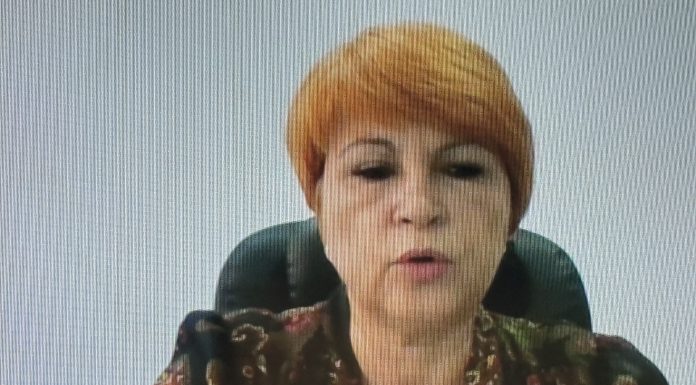 VIDEO Gianina Lazanu, Ministerul Economiei: Aproape 40 de companii se certifică pentru a se reorienta către producție în industria de apărare – Maratonul Profit.ro ″Made in Romania″
