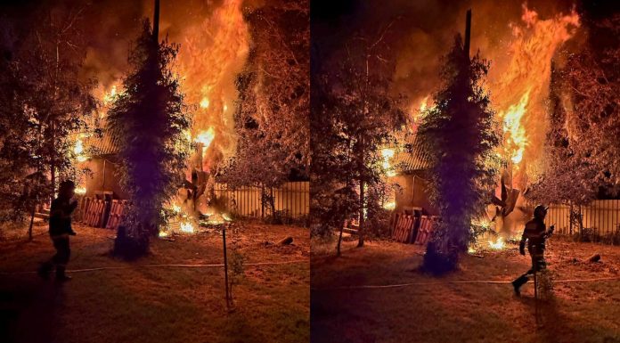 Incendiu puternic într-o gospodărie din Grădinari. Flăcările au distrus locuința din lemn