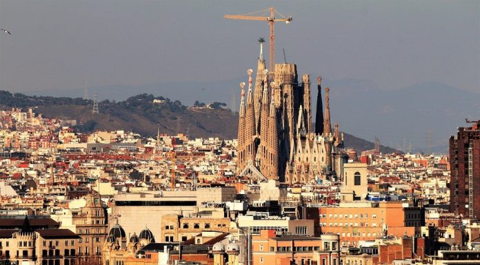 Barcelona vrea să înlocuiască peste 24.000 de platani până în 2037. De ce renunță orașul la unul dintre simbolurile sale
