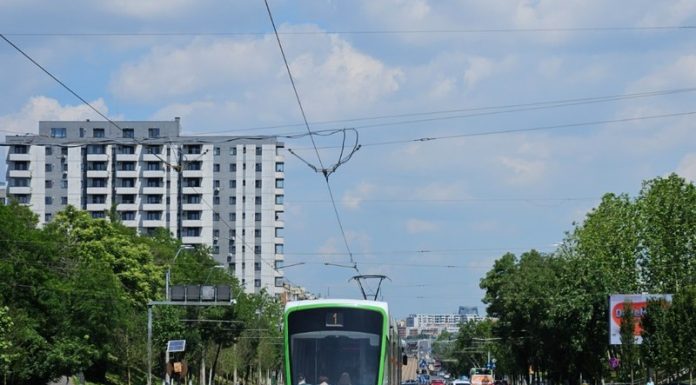 Încep lucrările la Calea Văcărești. Peste 300 de arbori vor fi plantați pe scuarul central
