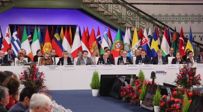 OSCE convoacă o reuniune specială pentru a discuta încălcarea spațiului aerian al României de către Rusia