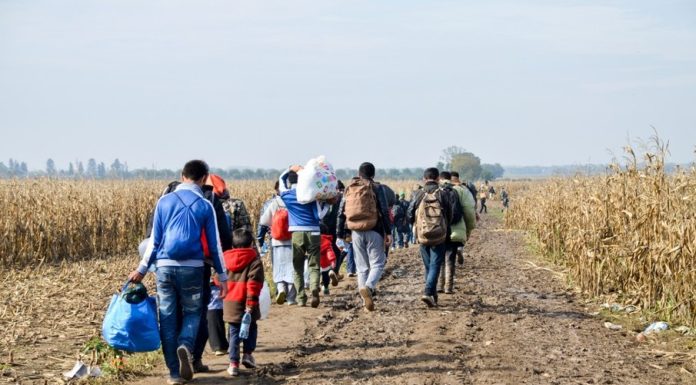 Percheziții, deportări și detenție de până la 30 de luni. Noua lege a migrației din UE, comparată cu practicile temutei ICE a lui Trump