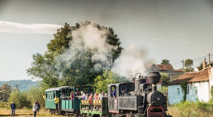 Calea ferată îngustă de pe Valea Hârtibaciului renaște cu ajutorul voluntarilor. „Avem 9.000–10.000 de turiști anual”